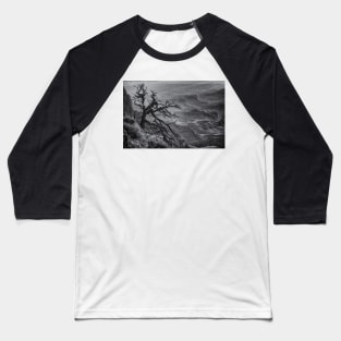 Tree at Lipan Overlook Grand Canyon B&W Baseball T-Shirt